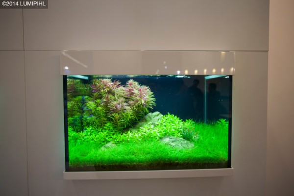 Interzoo 2014 - Tropica (Aqua Plants) booth