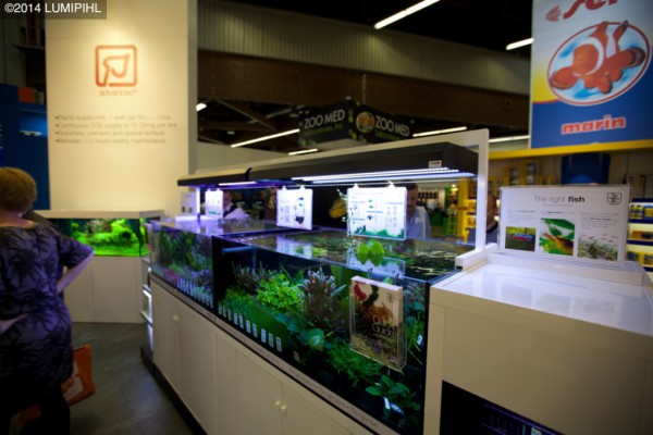Interzoo 2014 - Tropica (Aqua Plants) booth