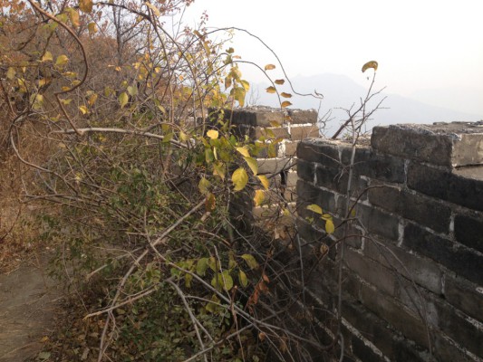 the great wall